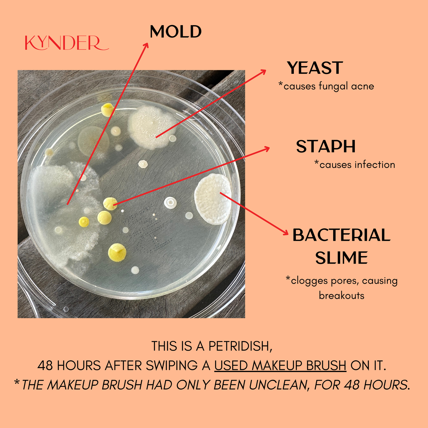 Fresh Start Trio! *Best Value*